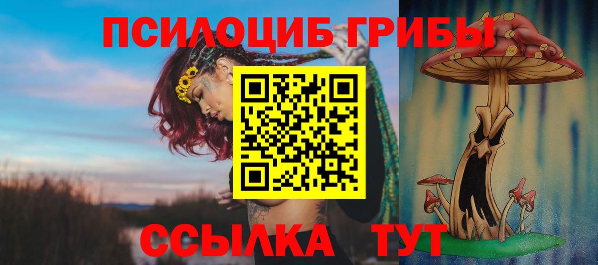 Псилоцибиновые грибы прущие грибы Усть-Джегута